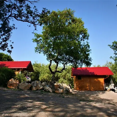 Bed & Breakfast Boutique Agroturizam Sv. Juraj Vrh (Krk)