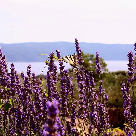 Boutique Agroturizam Sv. Juraj Bed & Breakfast Vrh (Krk)