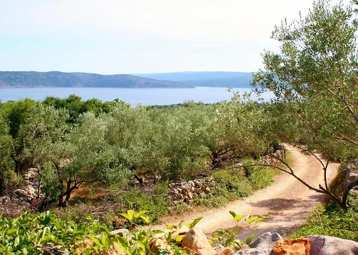 Boutique Agroturizam Sv. Juraj Bed & Breakfast Vrh (Krk)