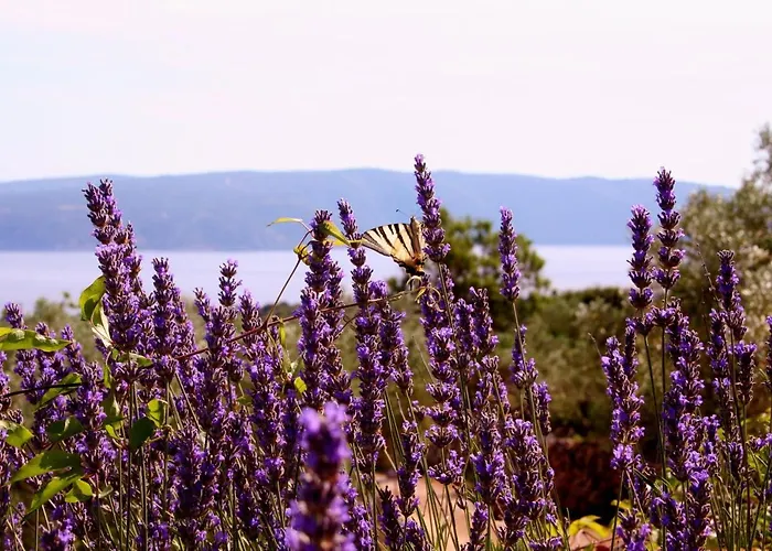 Boutique Agroturizam Sv. Juraj Bed & Breakfast Vrh (Krk)